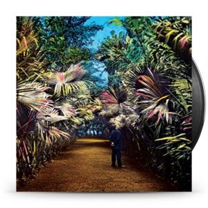 Tim Knol - Cut The Wire