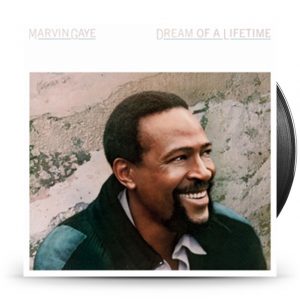 Marvin Gaye - Dream Of A Lifetime -Clrd