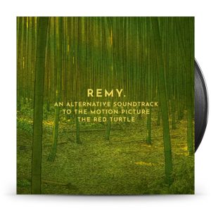 Remy van Kesteren - Red Turtle LP