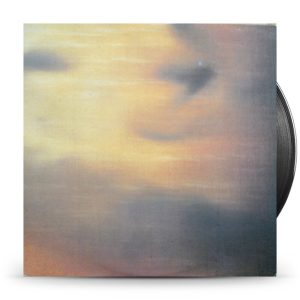 New Order – State Of The Nation / Shame Of The Nation (12")
