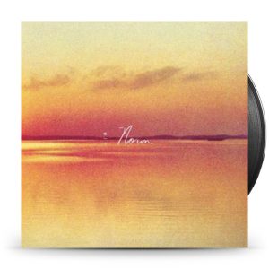 Shauf, Andy - Norm -Gatefold-