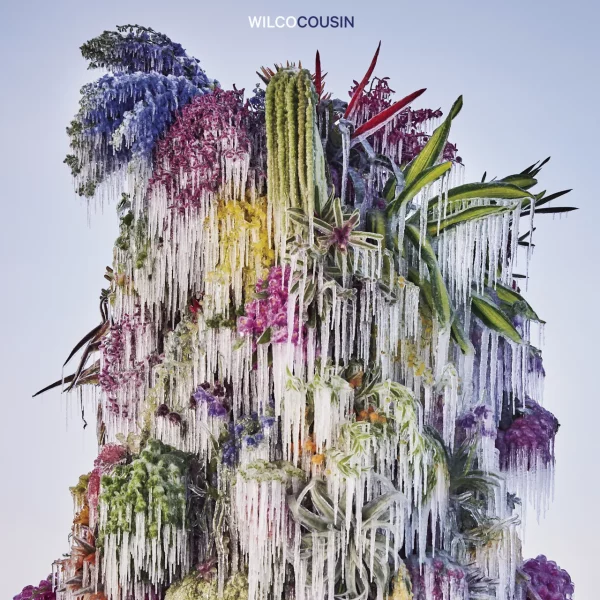 Wilco - Cousin - Afbeelding 1