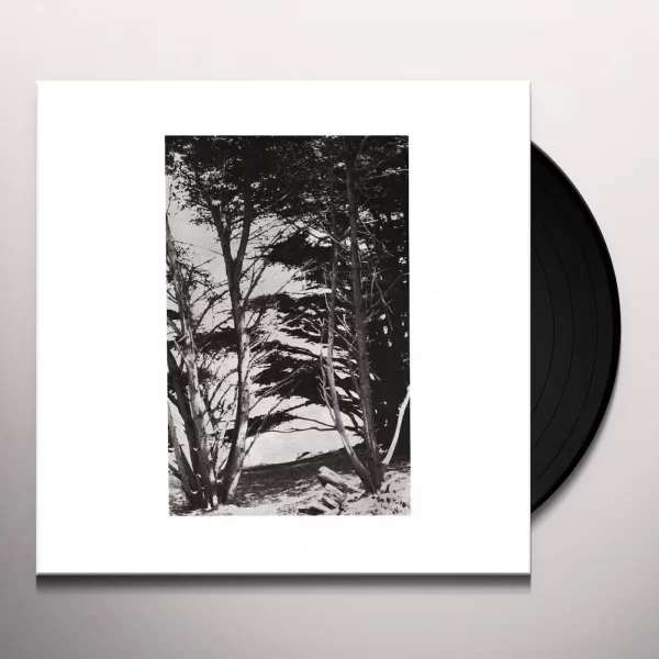 Deitrick, Rick - Gentle Wilderness - Afbeelding 1
