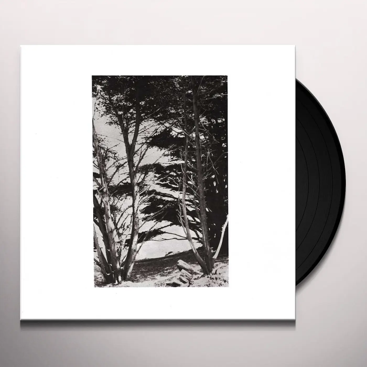 Deitrick, Rick - Gentle Wilderness - Afbeelding 1