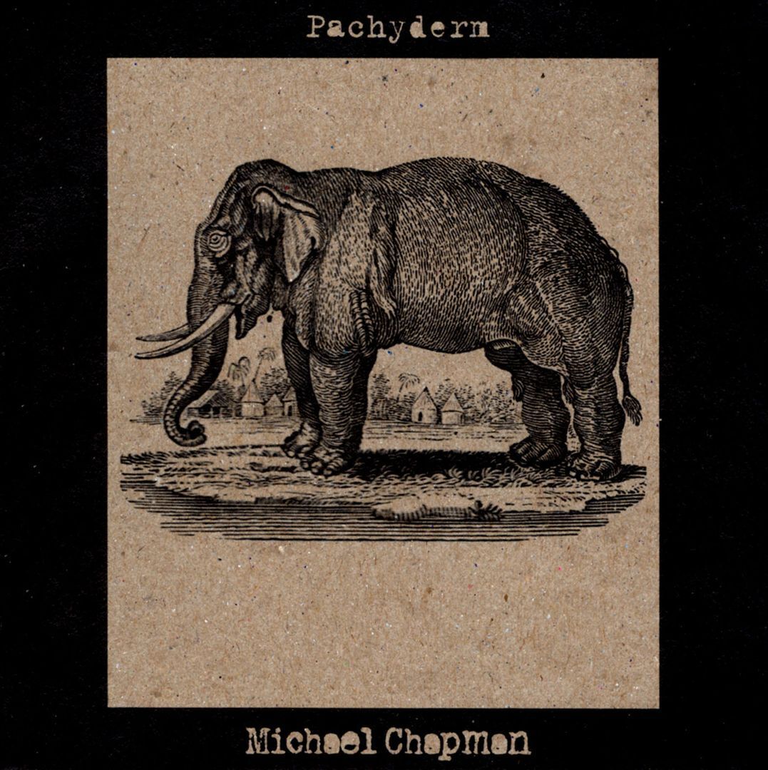 Michael Chapman - Pachyderm - Afbeelding 1