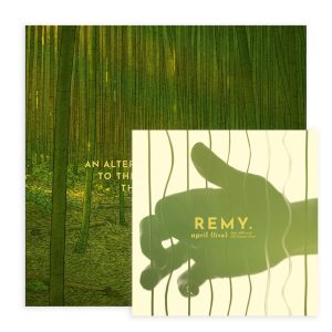 Remy van Kesteren - The Red Turtle (OST) + 7" Single: April (live)
