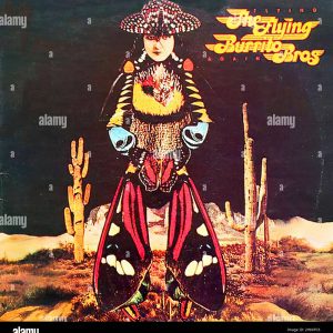 Flying Burrito Brothers - Flying Again