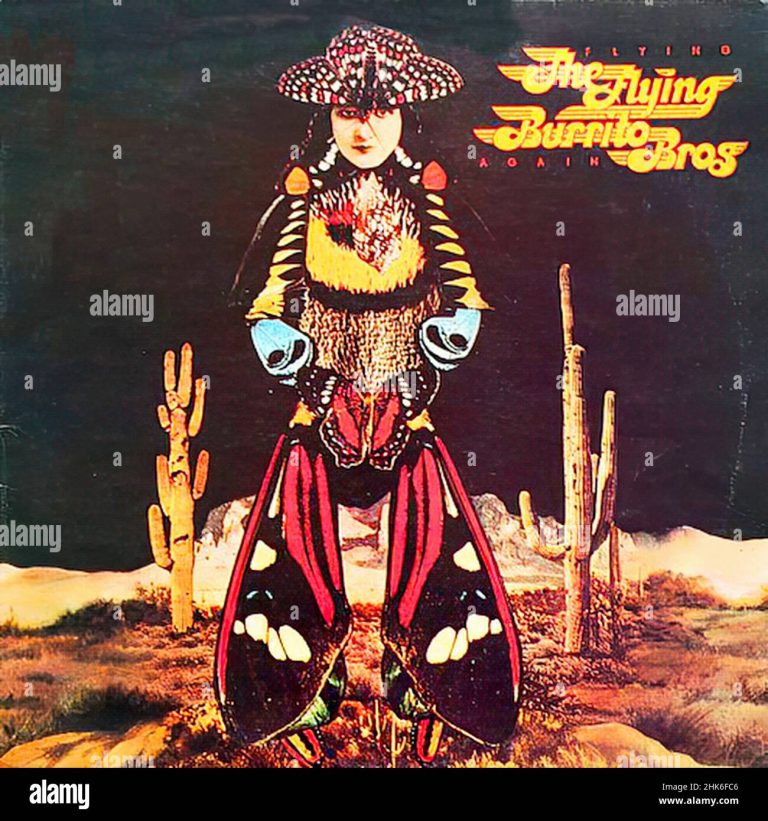 Flying Burrito Brothers - Flying Again - Afbeelding 1