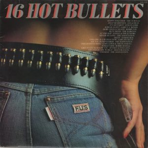Various - 16 Hot Bullets