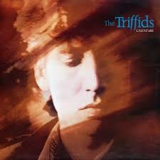 Triffids - Calenture