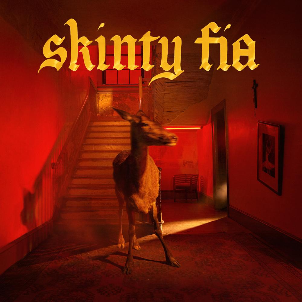 Fontaines D.C. – Skinty Fia - Afbeelding 1