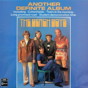 The Beach Boys - Another Definite Album