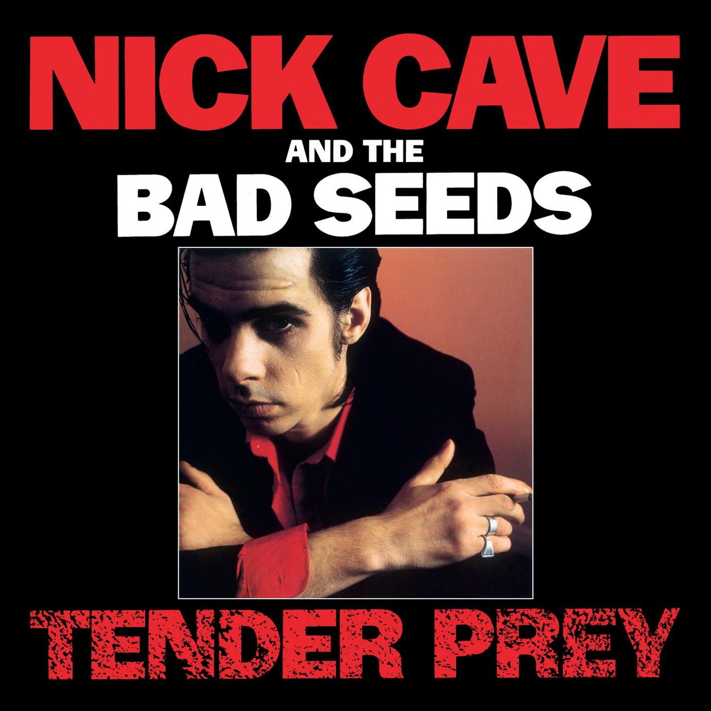 Nick Cave & The Bad Seeds - Tender Prey - Afbeelding 1