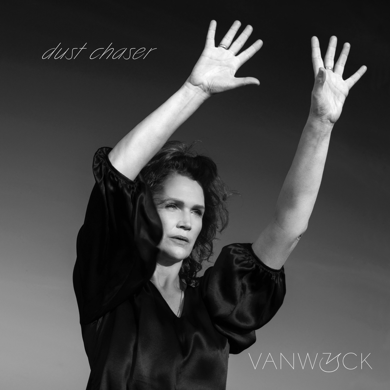 VanWyck - Dust Chaser - Afbeelding 1