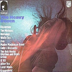 Various - The Heavy Dozen (Nederbeat Serie)