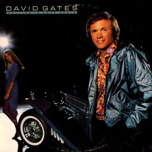 David Gates - Falling in Love Again