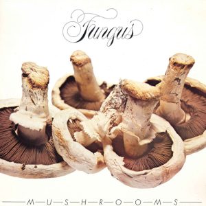 Fungus - Mushrooms