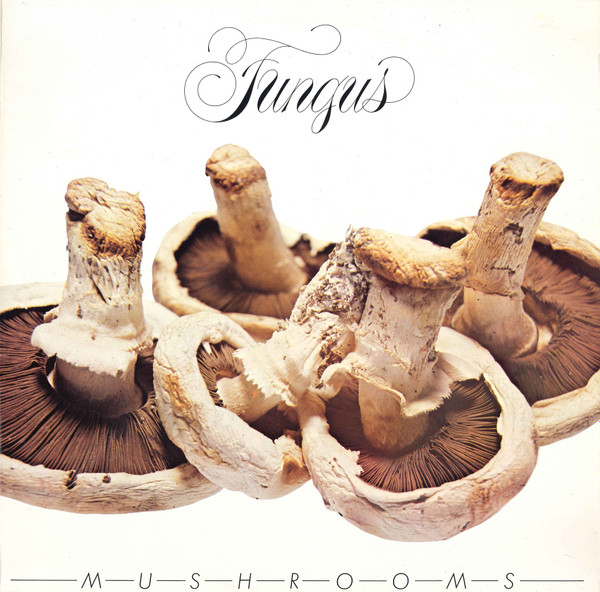 Fungus - Mushrooms - Afbeelding 1
