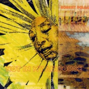Robert Pollard - Not In My Airforce