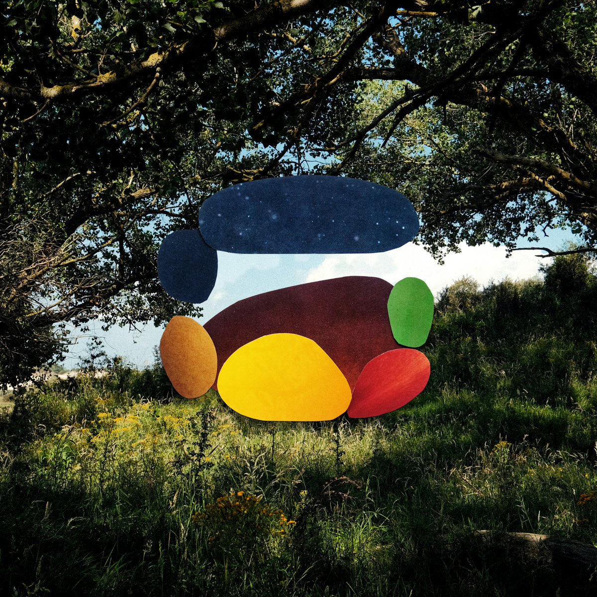I Am Oak - Time Drifts - Afbeelding 1
