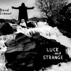 Gilmour David - Luck And Strange (Black Vinyl)