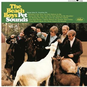The Beach Boys - Pet Sounds (Stereo 180gr.)