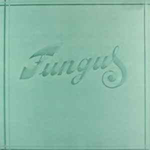 Fungus - Fungus