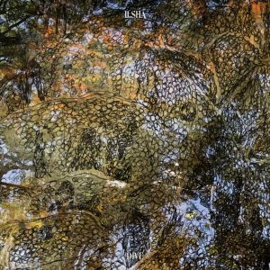 Ilsha - Dive (TRR)