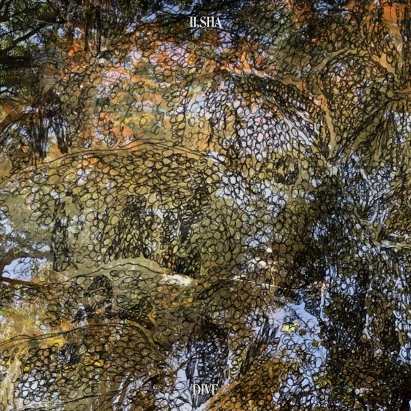 Ilsha - Dive (TRR) - Afbeelding 1