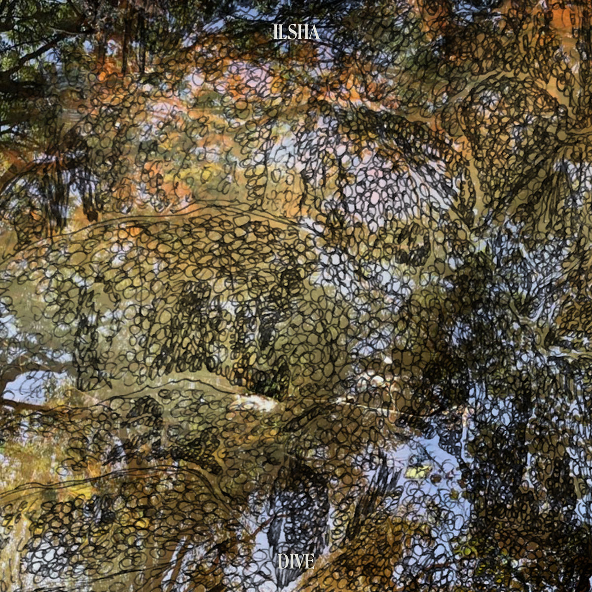 Ilsha - Dive (TRR) - Afbeelding 1