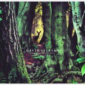 David Sylvian - Manafon