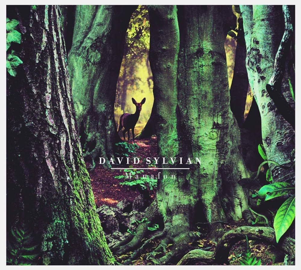 David Sylvian - Manafon - Afbeelding 1
