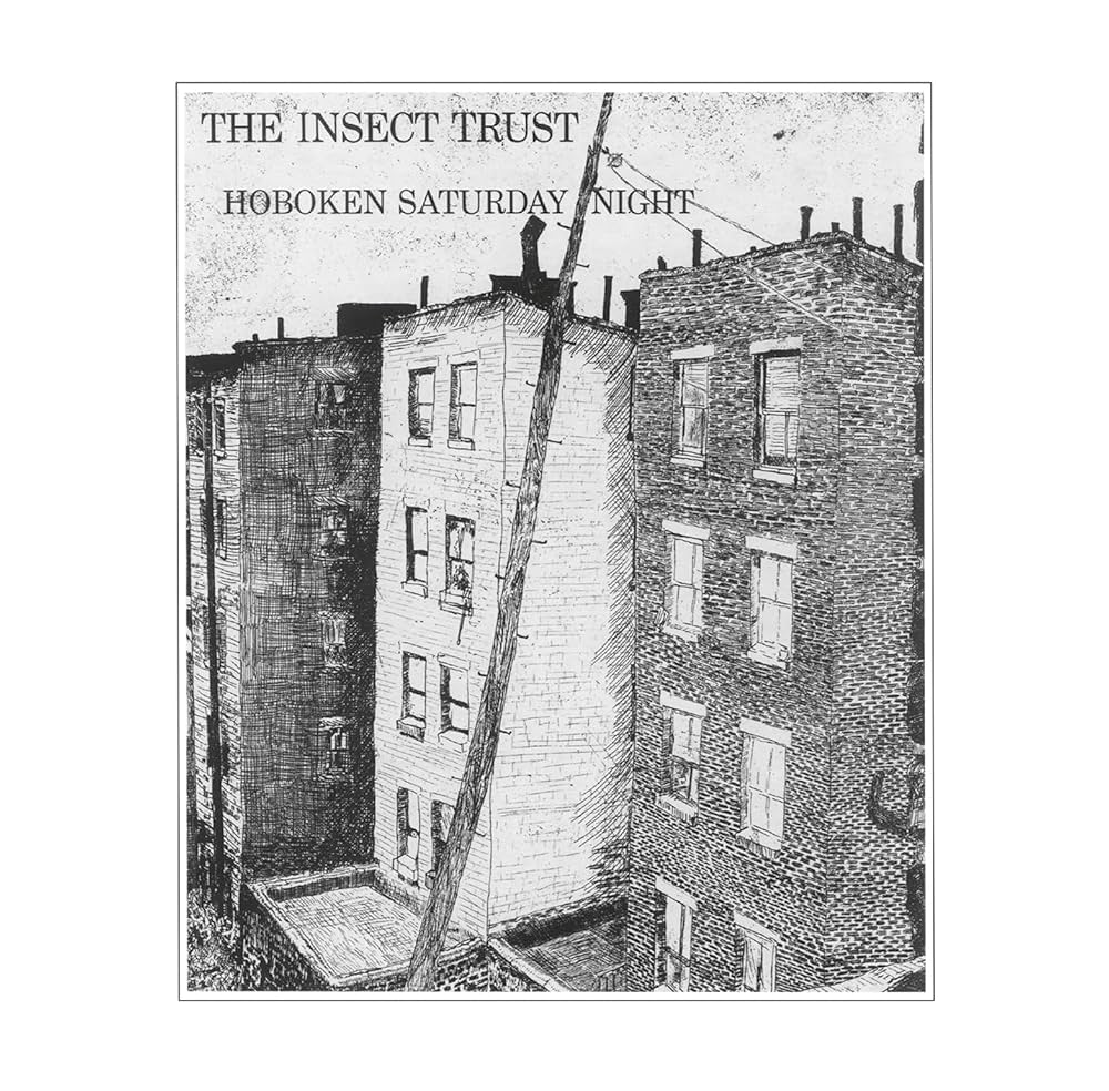 The Insect Trust – Hoboken Saturday Night (2023-reissue, numbered, clear vinyl) - Afbeelding 1