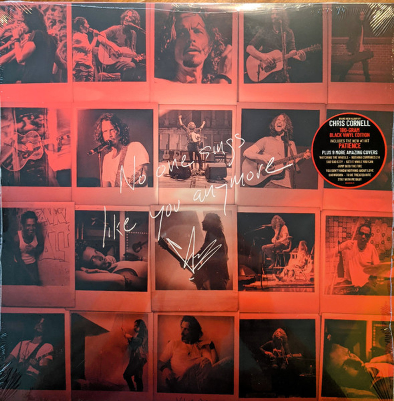 Chris Cornell - No One Sings Like You Anymore - Afbeelding 1