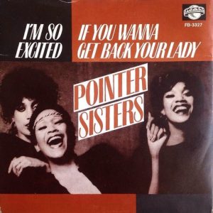 7" | The Pointer Sisters - I'm So Exited (7" single)