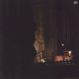 Fleet Foxes - Very Lonely Solstice