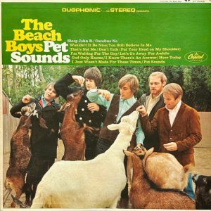 The Beach Boys  - Pet Sounds
