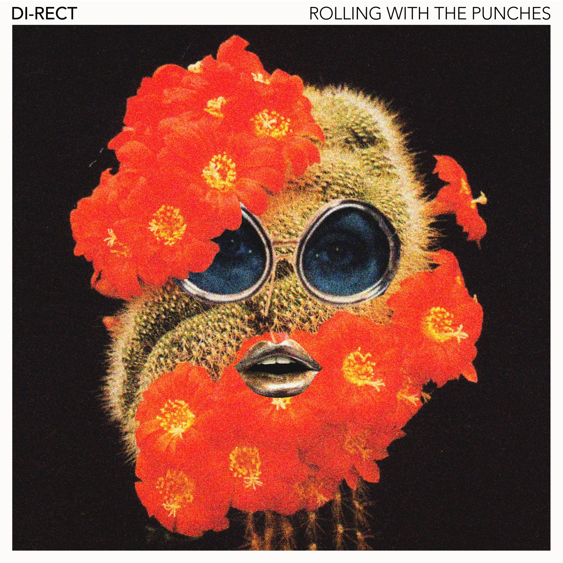 Di-Rect - Rolling With The Punches - Afbeelding 1