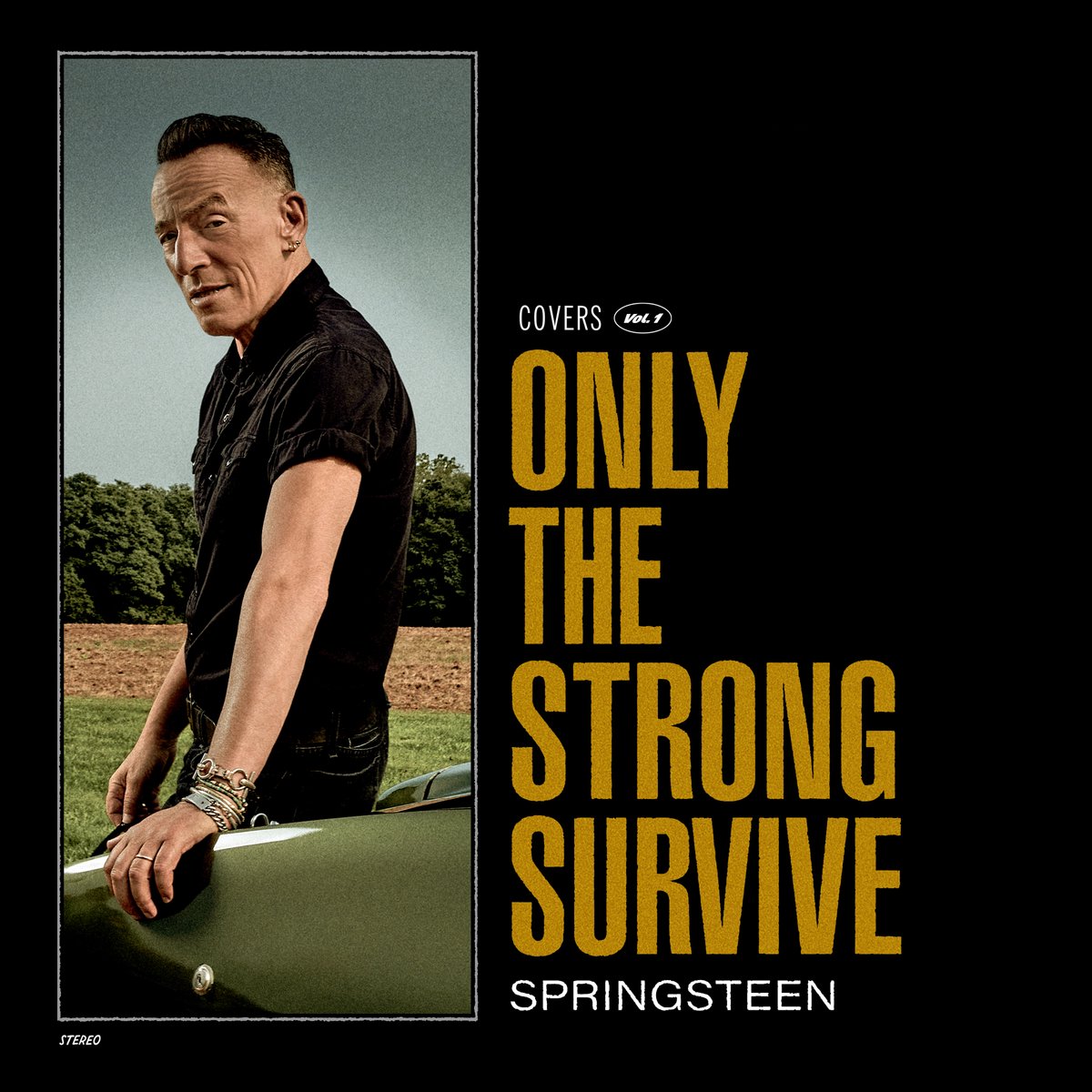 Bruce Springsteen - Only the Strong Survive (ltd. edition) - Afbeelding 1