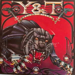 Y&T - Black Tiger