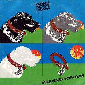 Stray Dog – While You're Down There