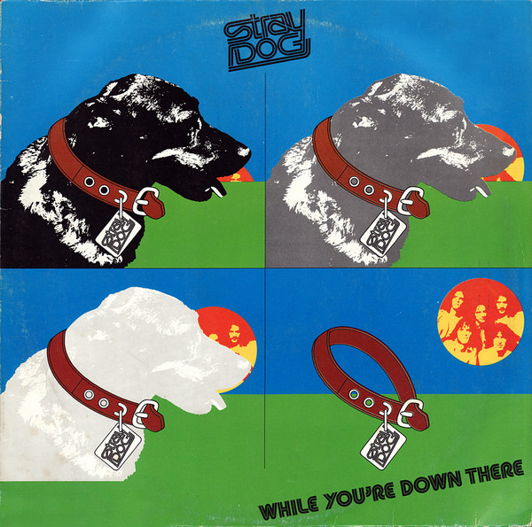 Stray Dog – While You're Down There