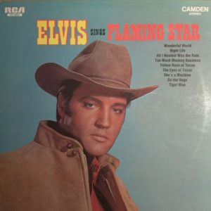 Elvis Presley - Elvis Sings Flaming Star
