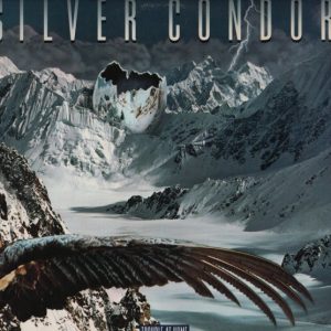 Silver Condor - Trouble at Home
