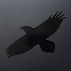 Sigur Ros - Raven Magic (2 LP)