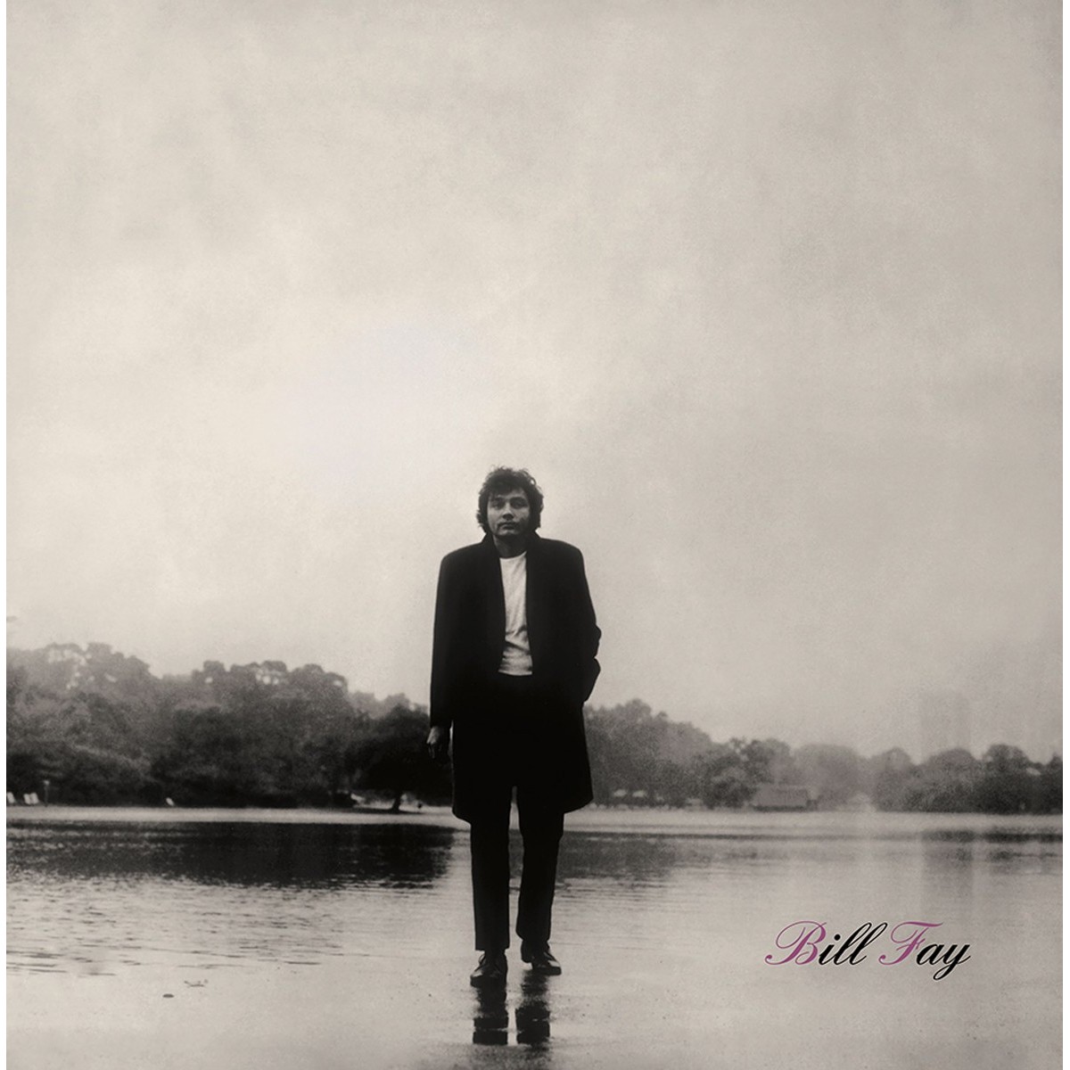 Bill Fay - Bill Fay - Afbeelding 1