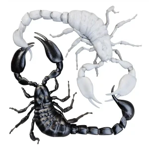 Abel & Sef - IJsland 1