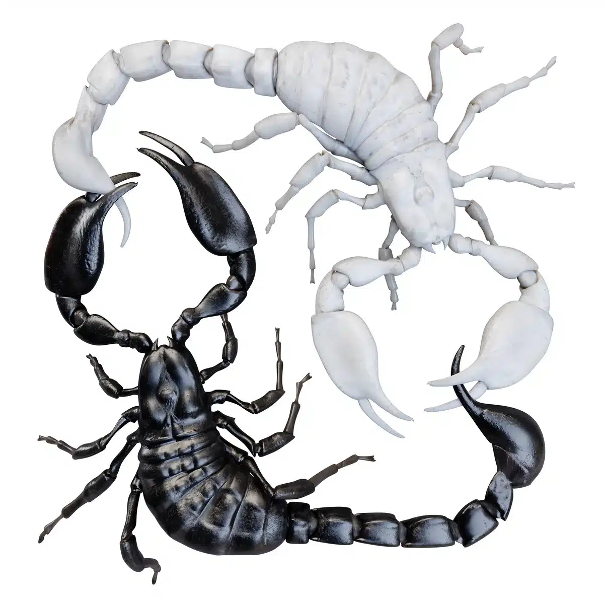 Abel & Sef - IJsland 1 - Afbeelding 1