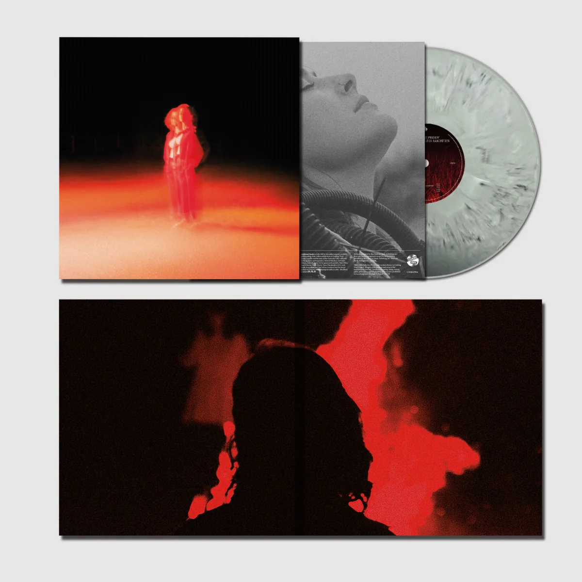 Katherine Priddy - These Frightening Machines (grey marble vinyl) - Afbeelding 1