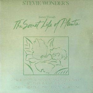 Stevie Wonder - Journey Through the Secret Life of Plants (2 LP)